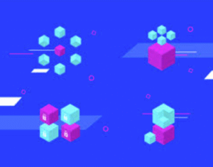 What Are the Main Types of Blockchain Networks?