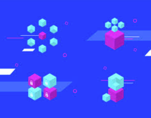 What Are the Main Types of Blockchain Networks?